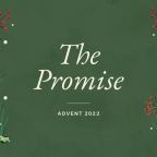 Advent | The Promise